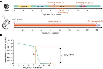 Pooled resequencing of larvae and adults reveals genomic variations associated with Ostreid herpesvirus 1 resistance in the Pacific oyster Crassostrea gigas